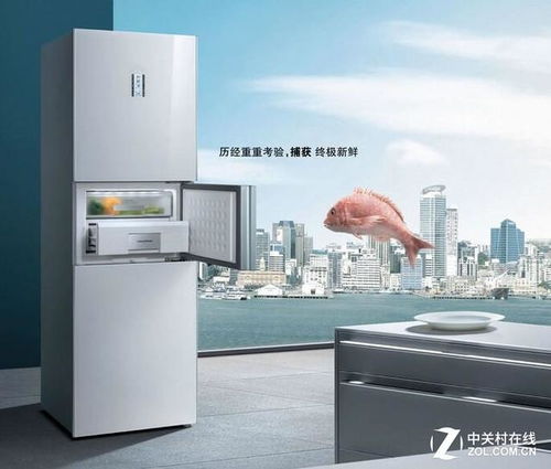 二手冰箱品牌质量揭秘，哪些品牌值得信赖？