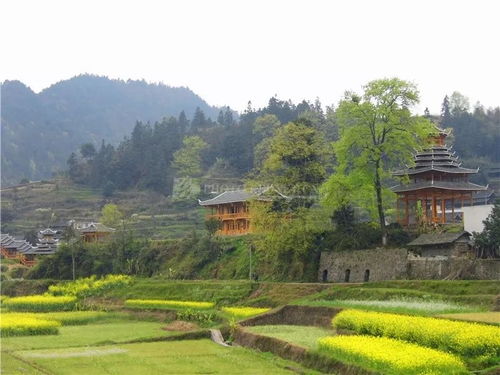 乡村美景如画，我的家乡多可爱