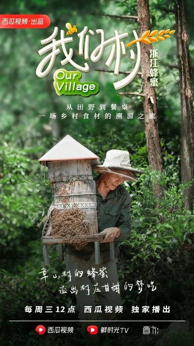 如何拍摄一部乡村生活纪录片—记录乡村魅力，讲述真实故事