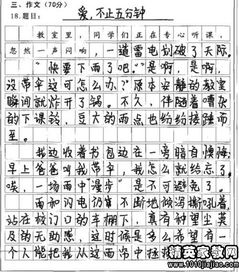 乡村小学生作文教学攻略，让文字在田野间绽放