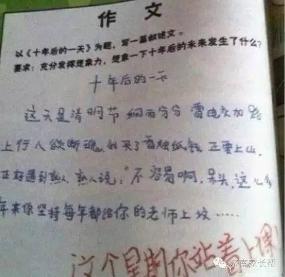 乡村小学生作文教学攻略，让文字在田野间绽放