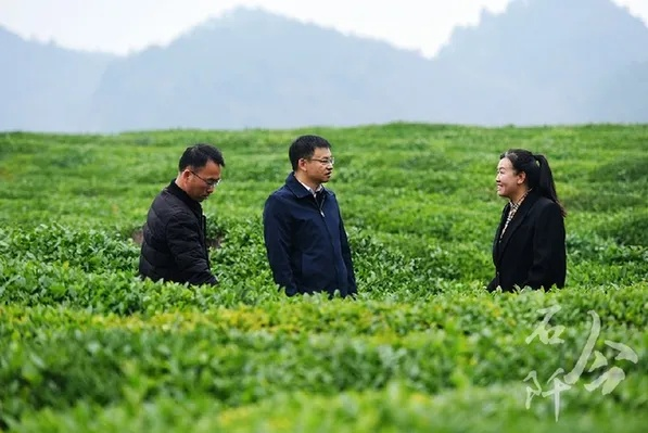 铜仁市乡村振兴第一书记的实践指南与案例分析