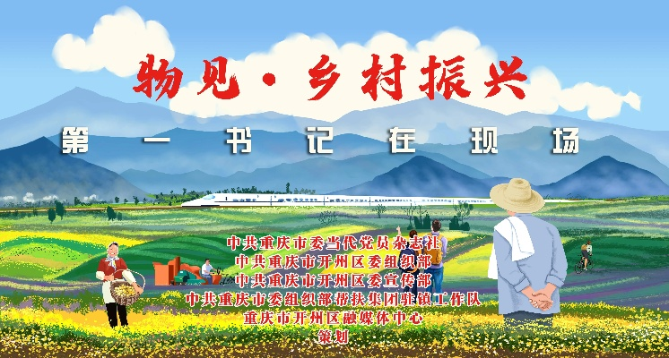 铜仁市乡村振兴第一书记的实践指南与案例分析