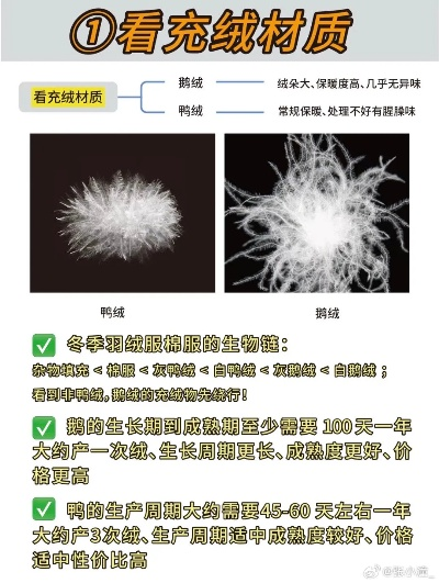 一年级鸭绒被价格大揭秘，品质生活从温暖开始