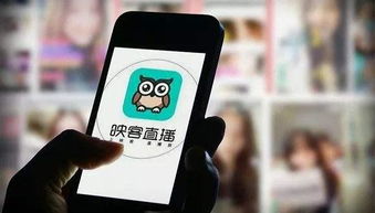 映客直播音乐攻略，让你的直播瞬间好听起来！