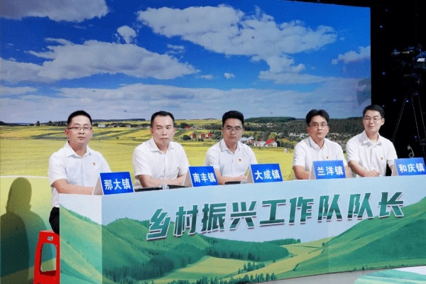 农村党务工作者助力乡村振兴的实践与思考