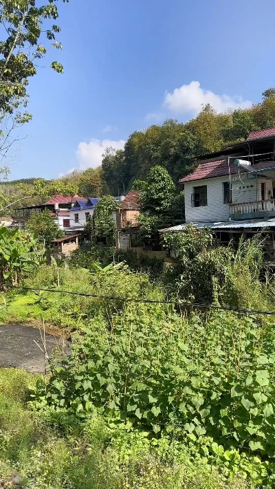 我的乡村生活点滴