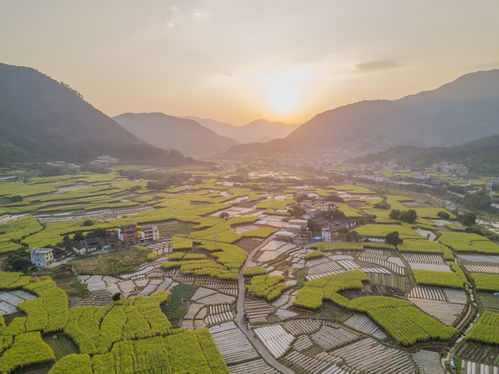 走进美丽乡村，感受田园风光—二年级下册乡村主题作文