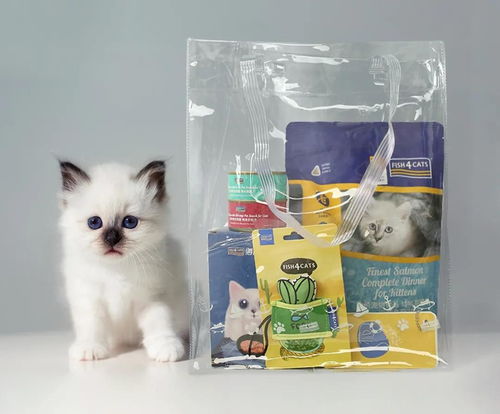 猫咪零食大揭秘，送猫友的最佳礼物清单