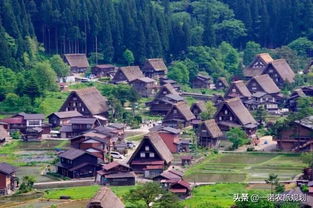 如何绘制一幅美丽的乡村风景图—创作指南与案例分享