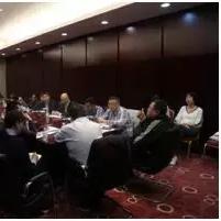 党组织在乡村振兴中的领头羊作用，做法与成效