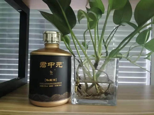 亮哥独家推荐，盘点那些让人回味无穷的白酒品牌