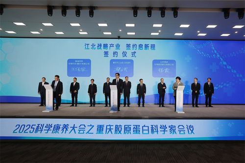 杭州医药品牌策划公司，创新与传承的交响曲