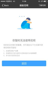 怎么运用花呗提现呢？