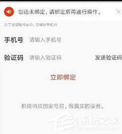 白条提现技巧 白条提现攻略，技巧与案例详解
