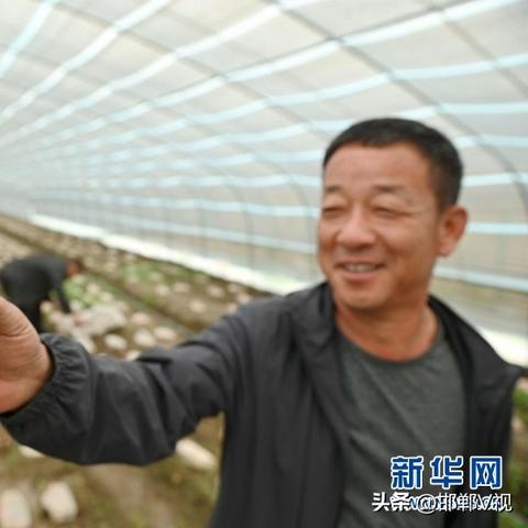 统一战线助力乡村振兴，共绘美好乡村新画卷