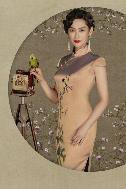 中国风复古旗袍，穿越时光的美丽传奇，盘点全部品牌及经典案例