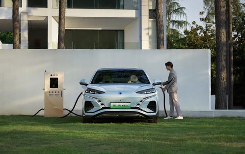 品牌建标，车柜新风尚—打造个性化汽车生活空间