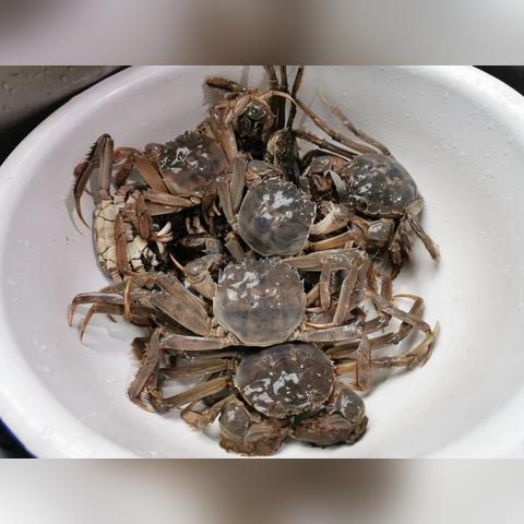 韩国第一白酒品牌揭秘，究竟是谁独领风骚？