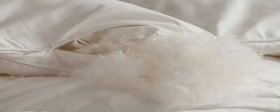 揭秘1米5x2鸭绒被空胆的重量之谜