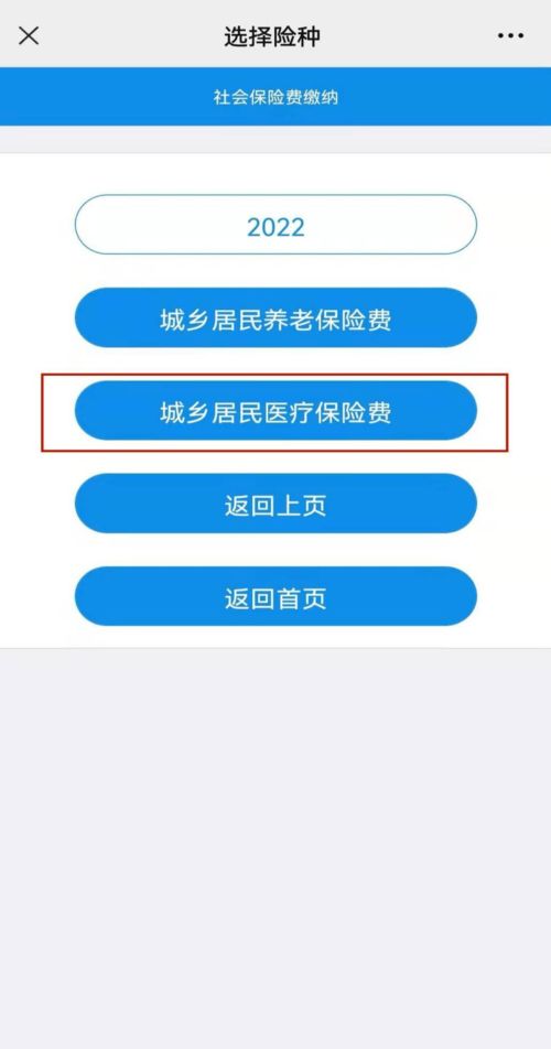 分期乐提现审核流程解析