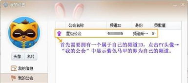 YY直播间开肩全攻略，轻松解锁互动新姿势！