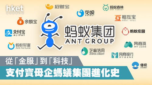 探究花呗风控机制下的资金套现可能性