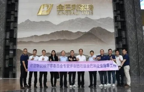 金伯爵士陶瓷，揭秘几线品牌背后的故事与魅力
