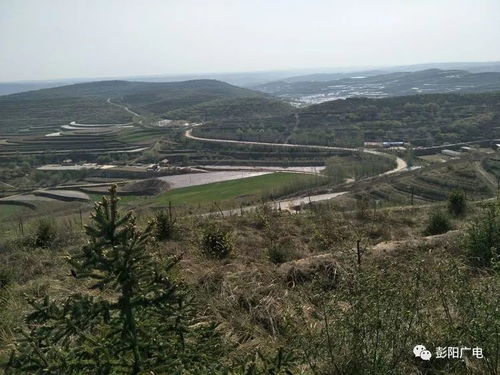 国家层面如何布局乡村旅游，打造乡村振兴新引擎
