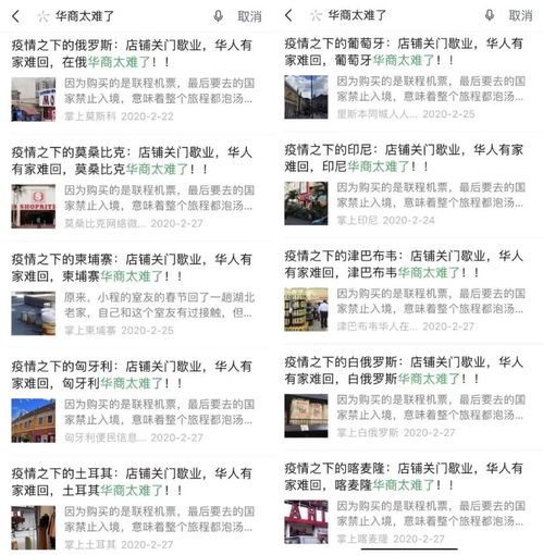揭秘作文网站广告，如何让你的作文水平飞跃？