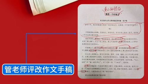 揭秘作文网站广告，如何让你的作文水平飞跃？