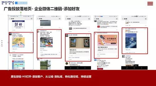 打造无广告综合网站，畅享清新网络空间