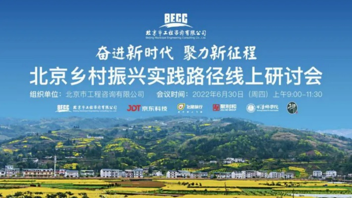 乡镇企业助力乡村振兴，路径探索与实践案例