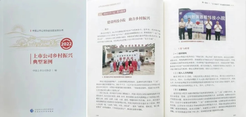 乡镇企业助力乡村振兴，路径探索与实践案例