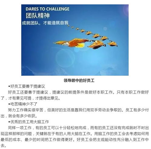 如何成为一名优秀的乡村守护人员—我的实践与心得
