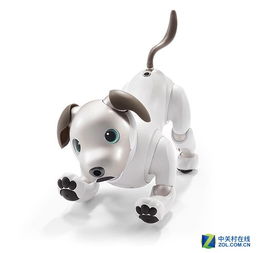 小型犬无声玩具大揭秘，这些品牌让你家的汪星人乐翻天！