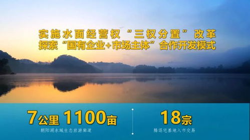 撬动社会资本，助力乡村振兴—探索社会资本在乡村发展中的妙用
