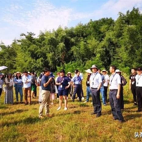 农业如何玩转乡村振兴—实操攻略大揭秘
