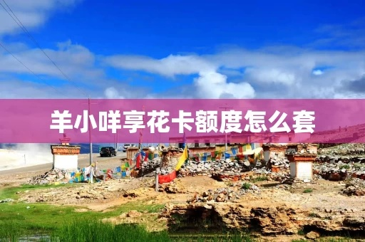 羊小咩享花卡免手续费套出来 羊小咩享花卡免手续费套出来攻略