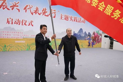 乡村人才如何发挥大作用，助力乡村振兴