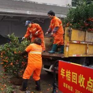 香洲品牌装修电话，打造您的理想家园