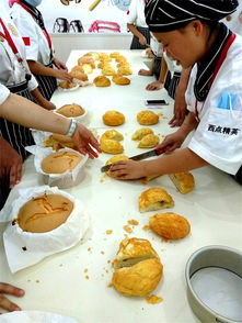 葫芦岛学西点，这些地方让你成为烘焙达人！
