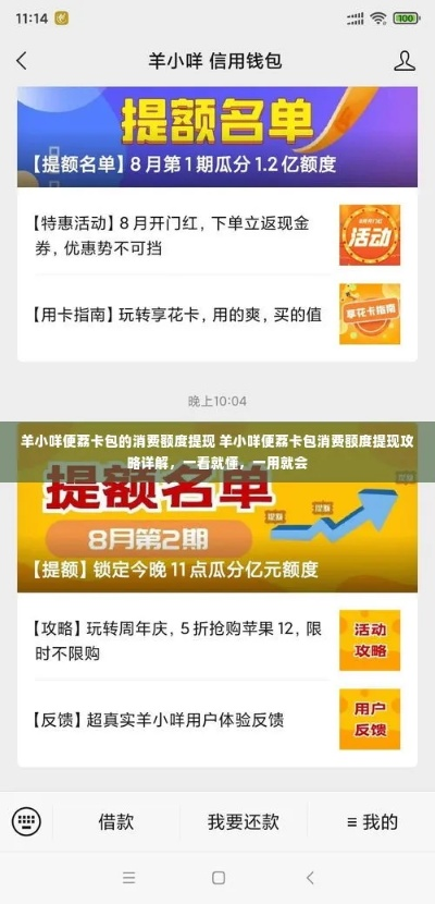 羊小咩便荔卡额度怎么取出来 羊小咩便荔卡额度取出来攻略