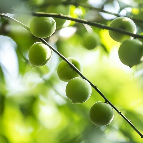 医药品牌故事儿童—守护成长的小小英雄