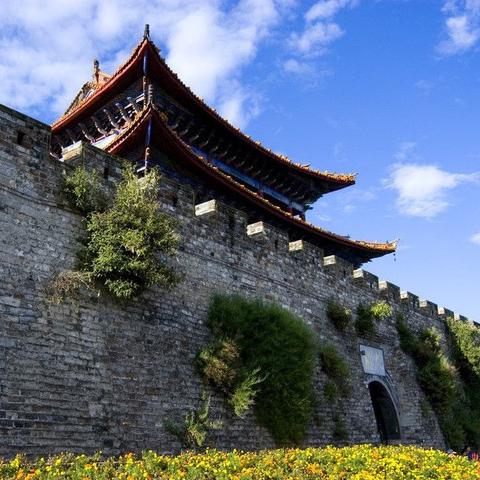 羊小咩享花卡商家套出来收货不转钱 羊小咩享花卡商家套出来收货不转钱揭秘