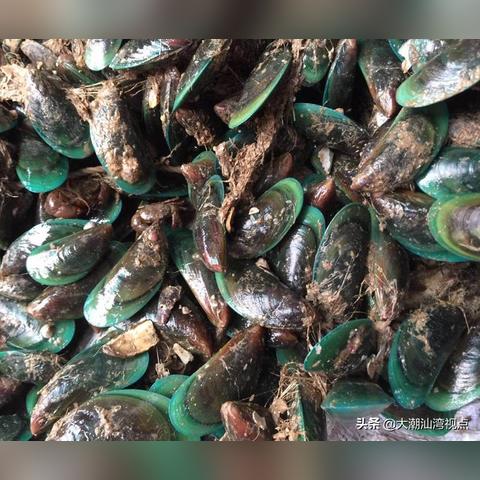 潮汕地区必游景点排行榜，带你领略海滨风情与文化魅力