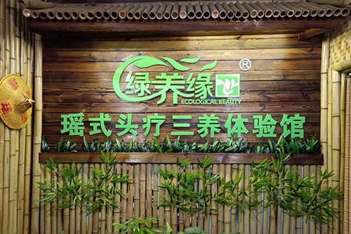 永州头疗加盟品牌推荐