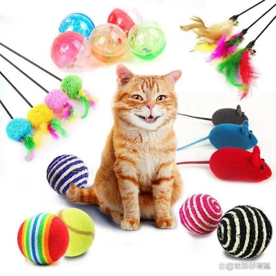 猫咪毛发大作战—盘点几款超好用的猫毛清洁玩具品牌
