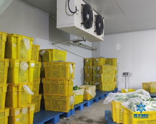 冷冻保鲜库加盟品牌大全—开启您的商业新篇章
