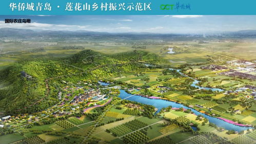 城投公司助力乡村振兴，新模式、新路径、新案例